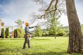 Best Tree Preservation Services  in Washington Mills, NY